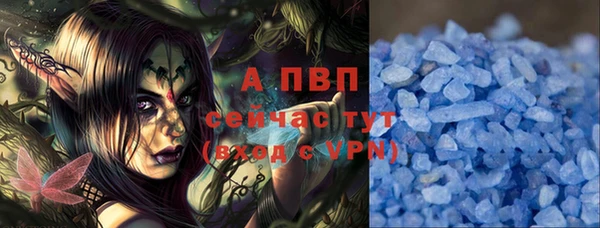 гашик Михайлов
