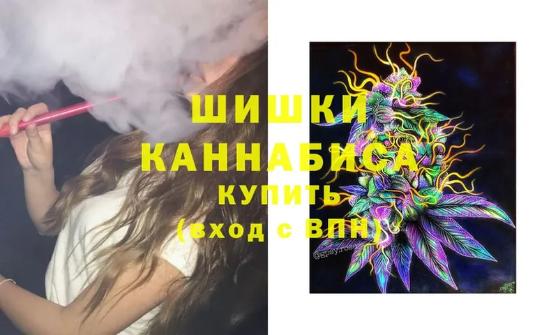 Бошки Шишки планчик  Кемь 